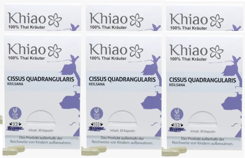 Khiao – Cissus Quadrangularis Keilsana – Cápsulas para las articulaciones y huesos Khiao