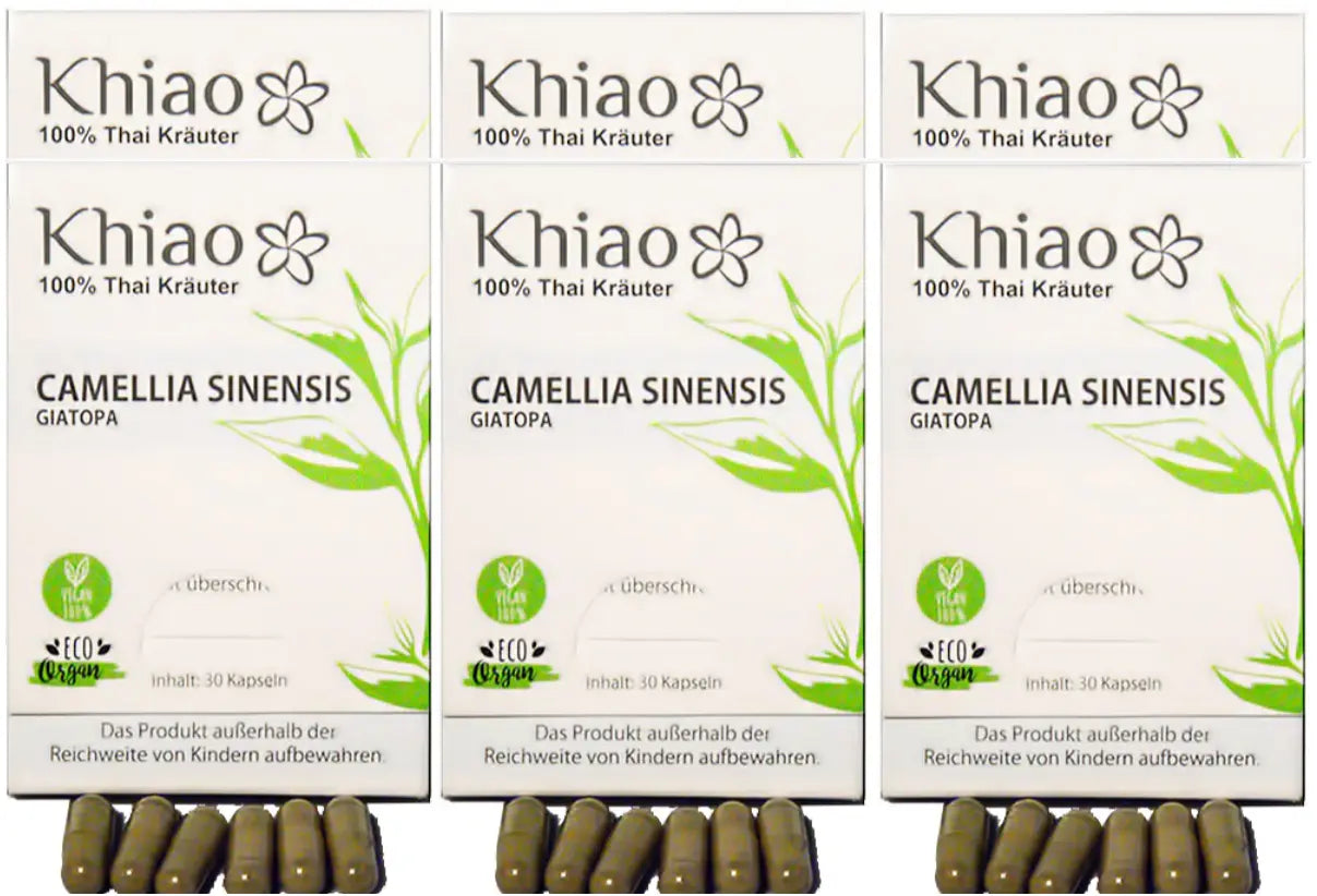 Khiao – Camellia Sinensis Giatopa – Energía de té verde Khiao