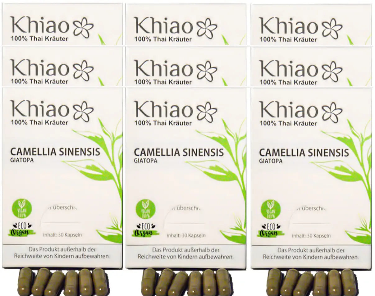 Khiao – Camellia Sinensis Giatopa – Energía de té verde Khiao