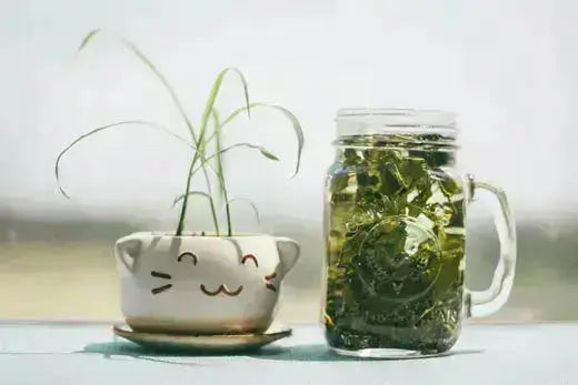 Astenia-primaveral-Por-qué-estamos-más-cansados-en-primavera Xilanatur