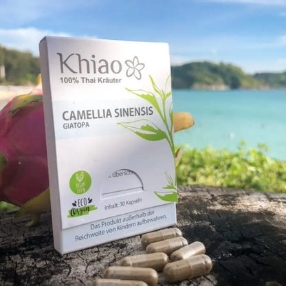 Khiao – Camellia Sinensis Giatopa – Energía de té verde