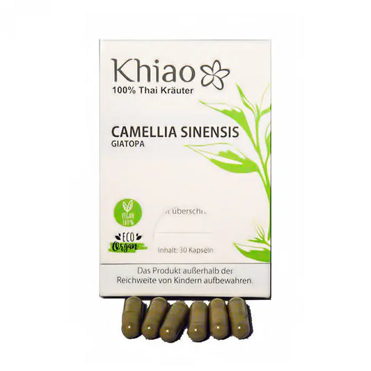 Khiao – Camellia Sinensis Giatopa – Energía de té verde Khiao
