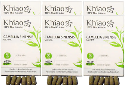 Khiao – Camellia Sinensis Giatopa – Energía de té verde