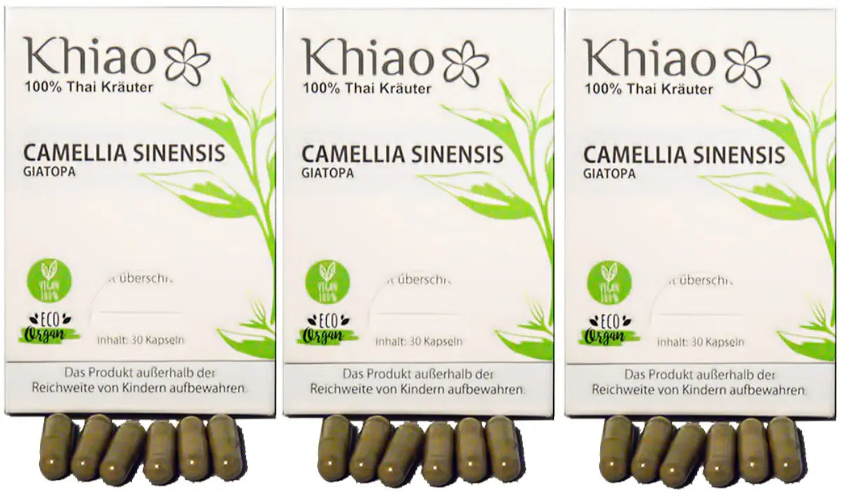 Khiao – Camellia Sinensis Giatopa – Energía de té verde Khiao