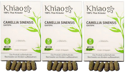 Khiao – Camellia Sinensis Giatopa – Energía de té verde